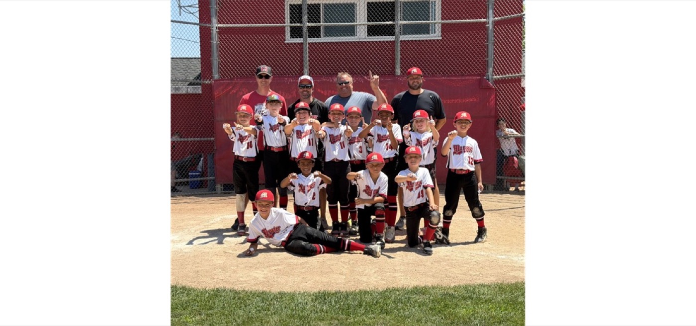 Tinley Park Bash 9u champions